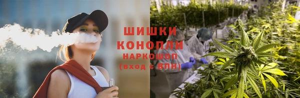 гидропоника Бронницы
