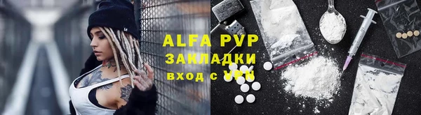 PSILOCYBIN Бородино