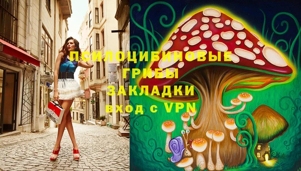 гидропоника Бронницы