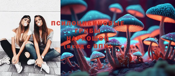 стаф Беломорск